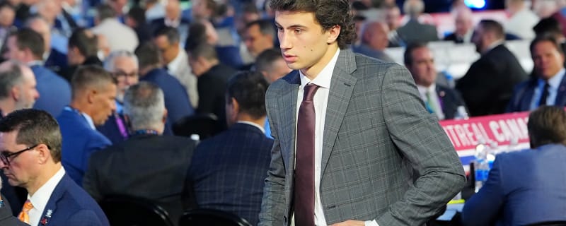 Maple Leafs prospect Ben Danford suspended two games by OHL for check from behind