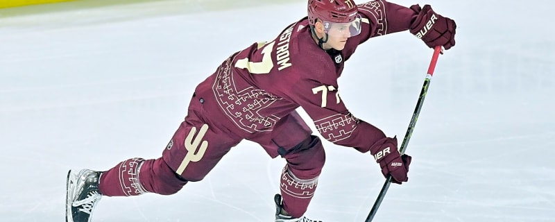 Report: Blackhawks trade rights to Victor Soderstrom to Bruins for Ryan Mast, draft pick