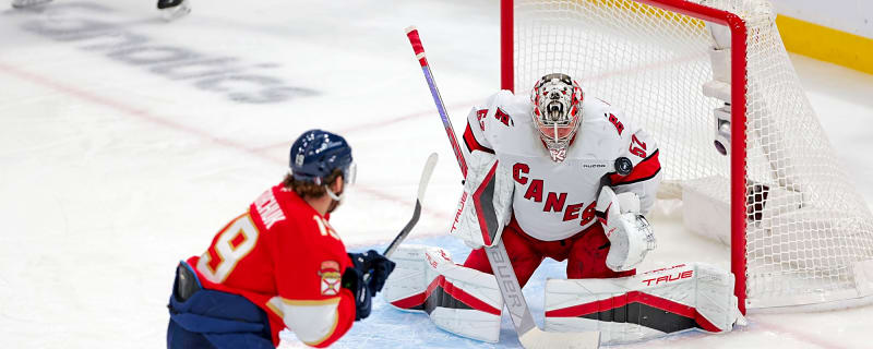 Hurricanes activate goaltender from injured reserve