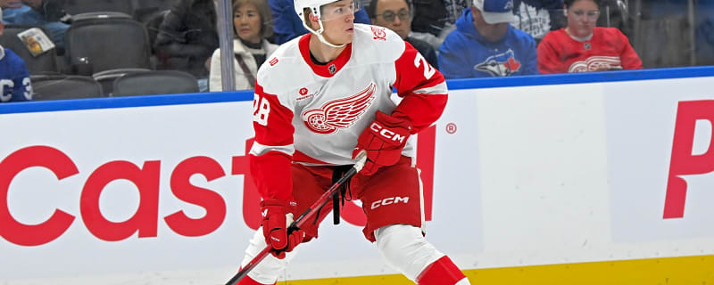 Why the Red Wings Need Brandsegg-Nygard Back Now