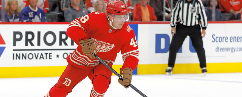 Assessing Detroit Red Wings’ Supporting Players This Season