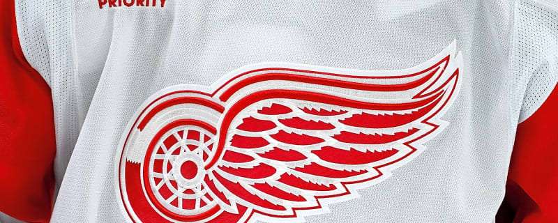 5 Takeaways From the Red Wings Prospect Game
