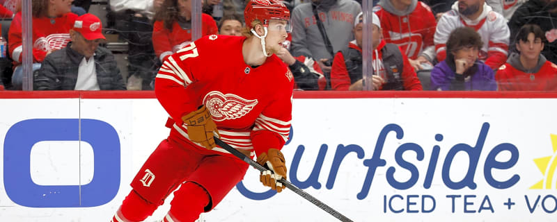 The Red Wings New General Manager’s To-Do List