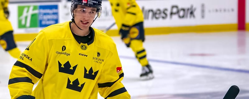 Ducks sign Lucas Pettersson to three-year entry-level contract