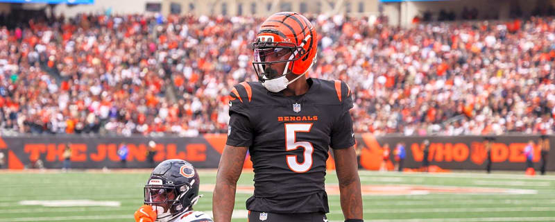 Bengals Player Profile: Tee Higgins is the luxury every other team in the NFL wishes they had