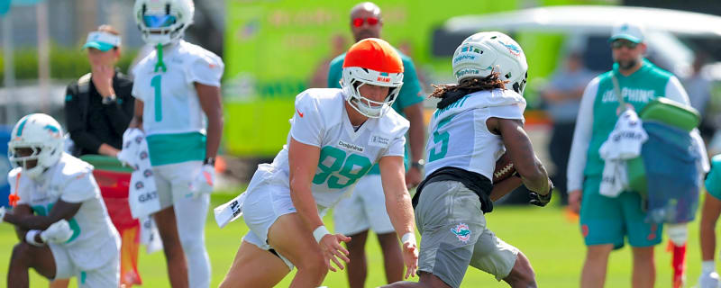 Two Under-the-Radar Dolphins That Are Making Waves