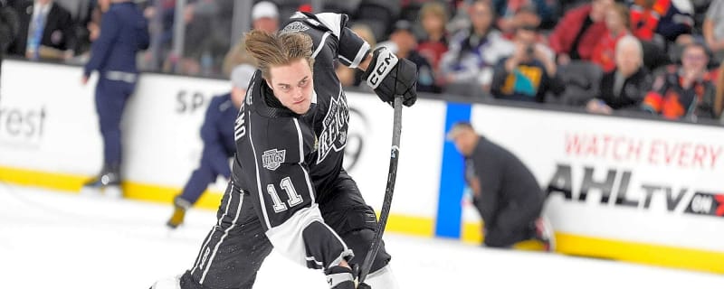 Two Manitoba Moose Forwards Sign Overseas (05/24/2026)