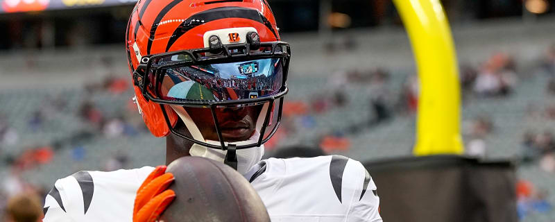 Tee Higgins Singles Out Two Rising Cincinnati Bengals Wide Receivers