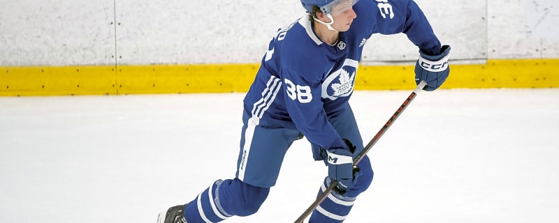 Ben Danford scores first professional goal, Marlies take Game 1 of Calder Cup Final