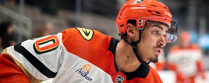 Ducks sign Tyson Hinds to two-year contract