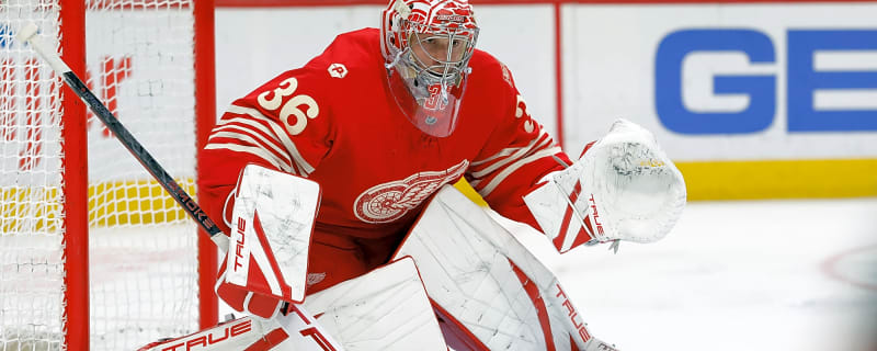 Red Wings Miss Playoffs; Traded 2026 First-Round Pick Enters NHL Draft Lottery
