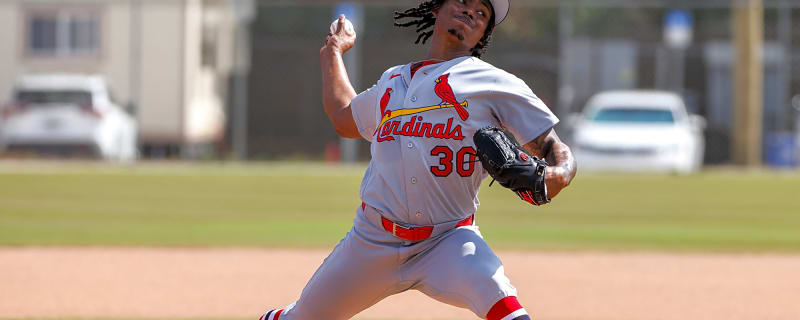Cardinals Designate Tink Hence For Assignment