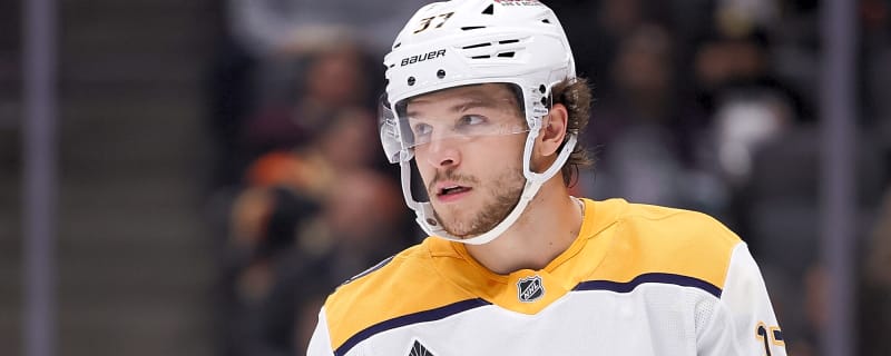 Why the Maple Leafs should target Predators defenceman Nick Blankenburg