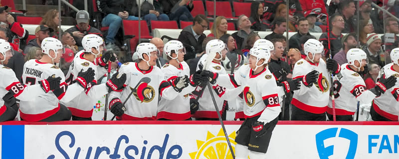 Ottawa Senators Reassign Stephen Halliday, Hunter Shepard