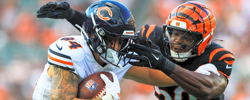 Bears fans get the vindication they were looking for after the NFL laid down the hammer over Colston Loveland tackle