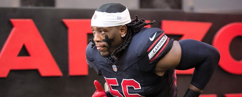 Arizona Cardinals DL Drops ‘Crazy’ Outlook for Year 2 in the NFL