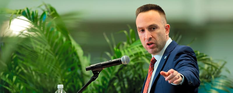 Tight Ends Should Have a Big Year in Dolphins Offense