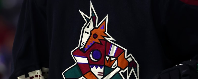 Will the Arizona Coyotes return to the NHL or lose their expansion slot to Atlanta?