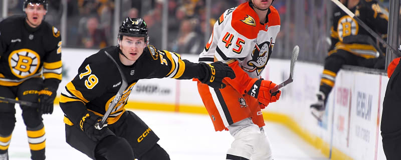 Bruins Activate, Reassign Michael Callahan, Matej Blumel