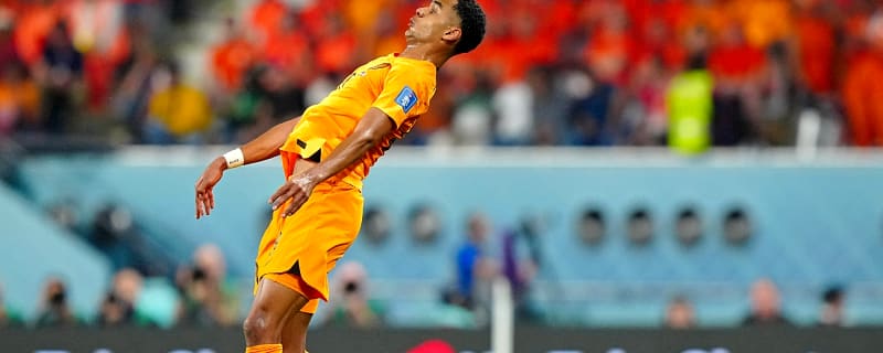 Cody Gakpo’s Liverpool stock has reached an all-time low