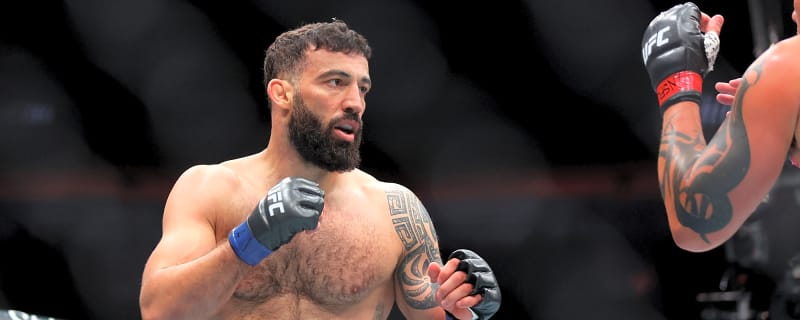 Next Matchups For UFC Fight Night: Dolidze vs. Hernandez