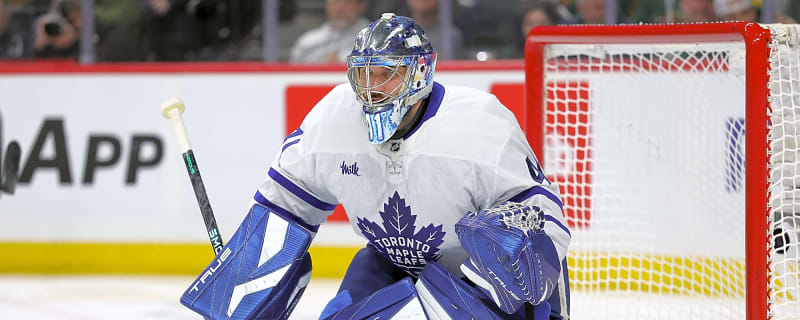 Maple Leafs Recall Dennis Hildeby