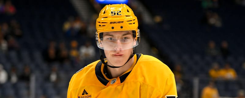 Predators activate, reassign forward prospect