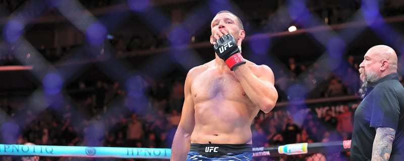 UFC on ABC 9: Thrilling Attractions Cleared for Takeoff in Abu Dhabi