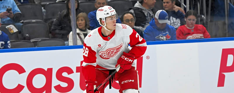 Red Wings assign top prospect Michael Brandsegg-Nygard