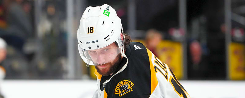 Pavel Zacha: Bruins love Jayden Struble 'very much