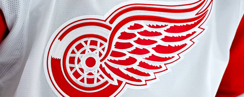 Red Wings name Shawn Horcoff interim GM