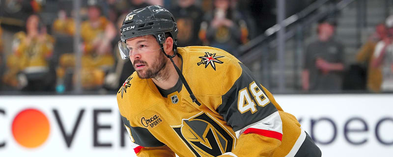 Golden Knights Trainer&#39;s Head Severely Injured Following Dangerous Incident Involving Tomas Hertl