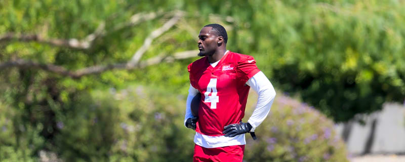 Expert tempers Cardinals fans expectations surrounding Jeremiyah Love in 2026