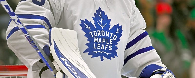 Are the Maple Leafs Looking for a Different Kind of Next Goalie?