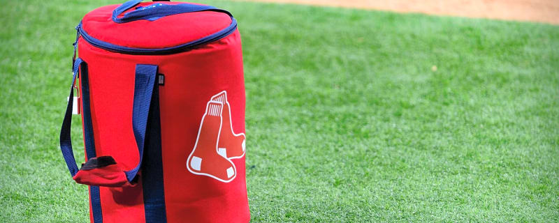 What does Red Sox prospect Dorian Soto have in store for 2026?