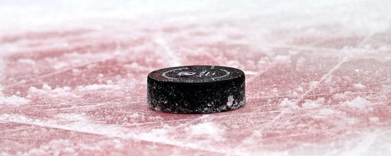 Chicago Blackhawks Sign Adam Gajan