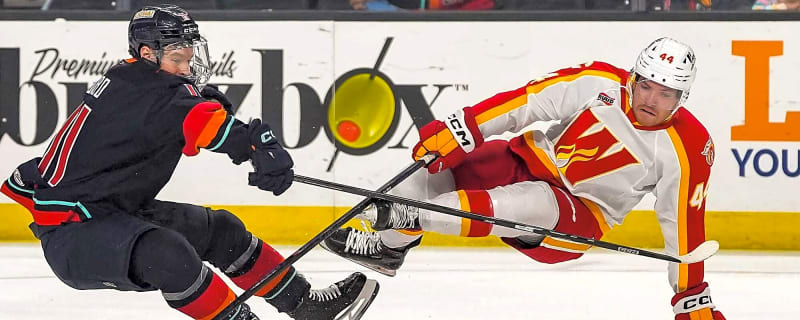 Brady Martin is the right-shot centre the Flames desperately need