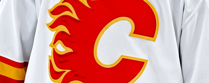 Calgary Flames hire former NHLer Dave Lowry as assistant coach