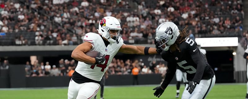 Did the Arizona Cardinals overpay Michael Wilson or get a total steal?