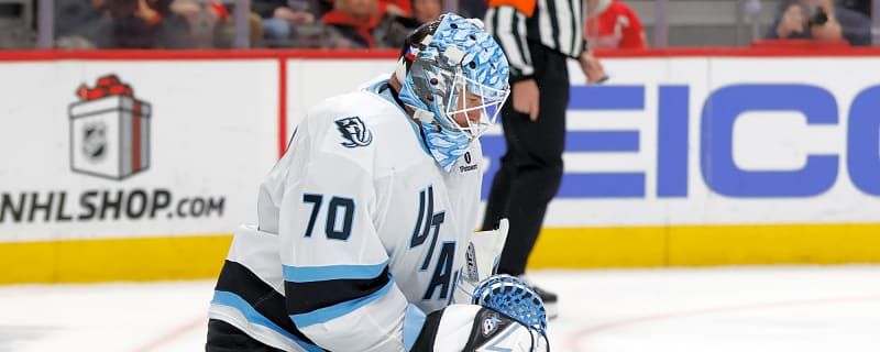 Mammoth Activate Karel Vejmelka From Injured Reserve