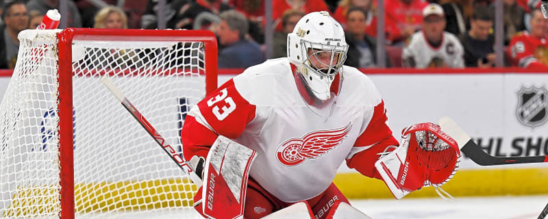Red Wings&#39; Overlooked Goalie Could Suddenly Draw Edmonton Oilers&#39; Interest