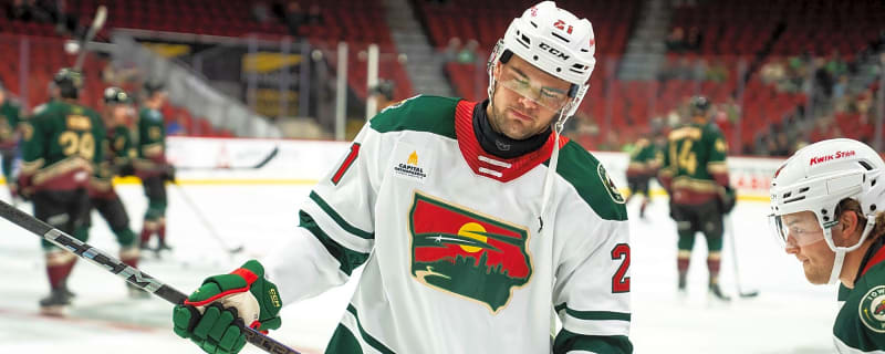 Minnesota Wild Recall David Spacek