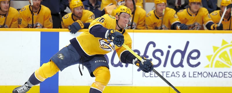 LA Kings Training Camp Preview: Erik Haula