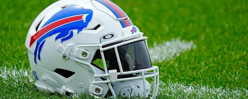 Construction of new Highmark Stadium briefly halted for wild reason