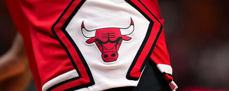 Bulls may be done making moves this offseason