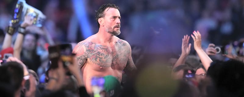 CM Punk Called Out By WWE Star Who &#39;Loved ROH Punk&#39;