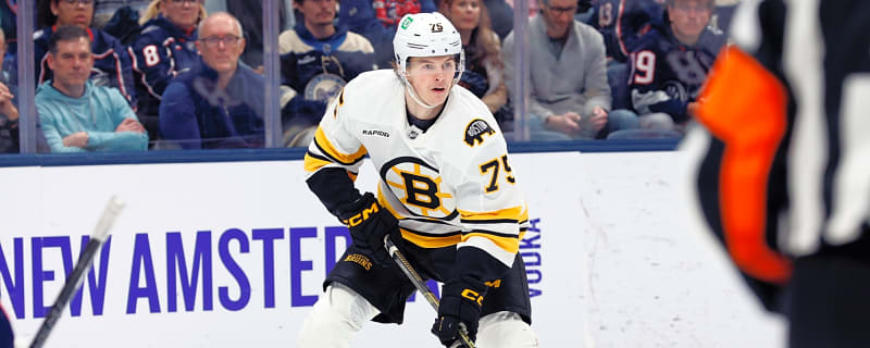 Bruins Reassign Lukas Reichel