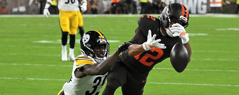 Steelers Receive Horrific Injury News On Defense