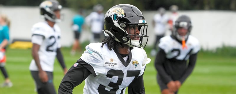 Steelers' Newest Signing Provides Direct Answer On His Opportunity