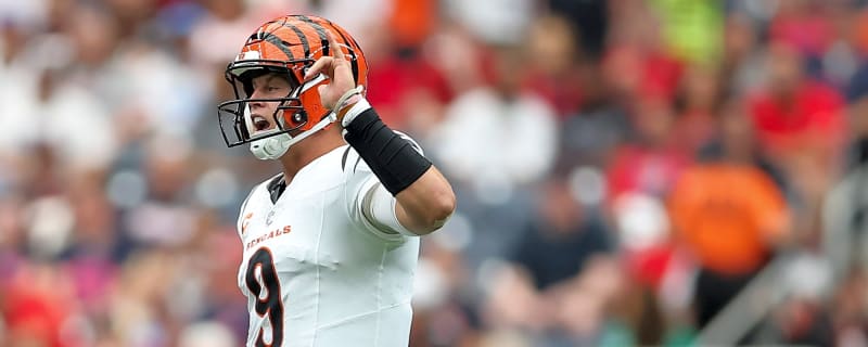 Cincinnati Bengals may have found the defense their offense needed